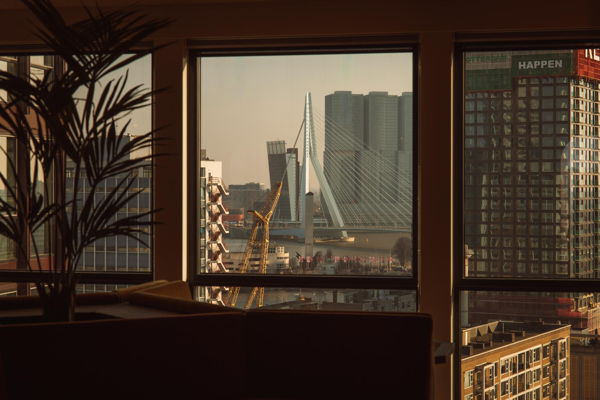 6C9A5756web.jpg
